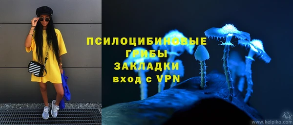 ГАЛЛЮЦИНОГЕННЫЕ ГРИБЫ Оленегорск