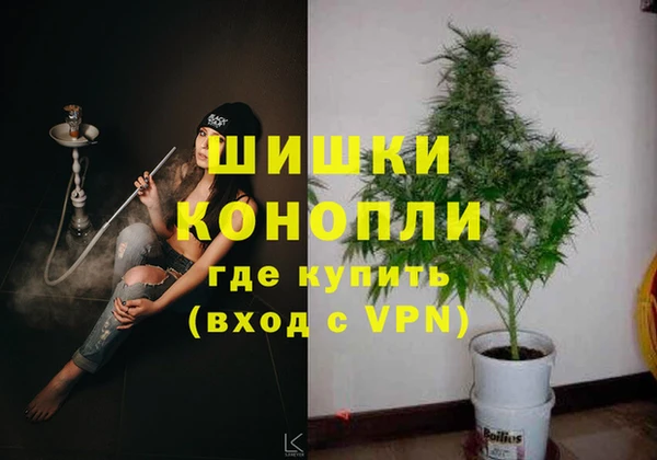 стаф Михайлов